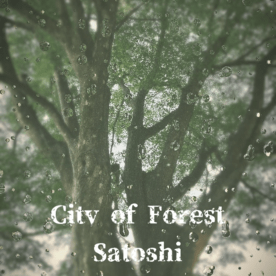 City of Forest Front Cover