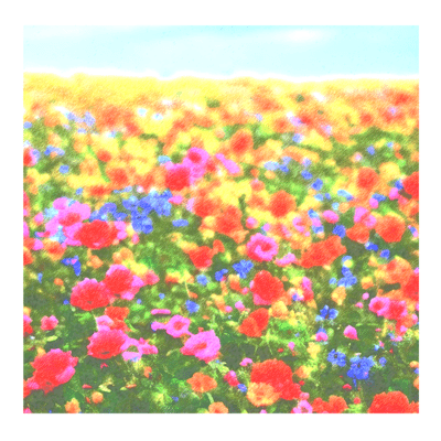 A garden of flowers in full bloom Front Cover