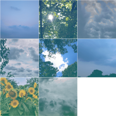 Fantasy of a Summer Day Front Cover