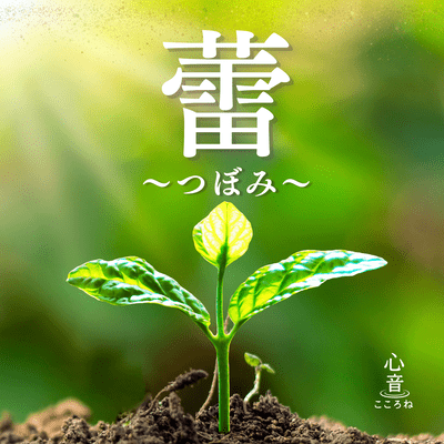 蕾のジャケット写真