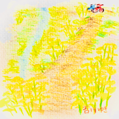 Cantry road in canola flower Front Cover