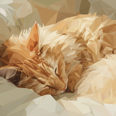 Teach me nap Front Cover