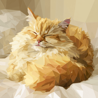 Oopsieのジャケット写真