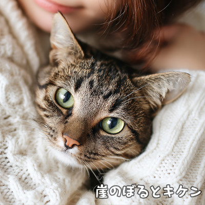 Cat noises, Cotton. Front Cover