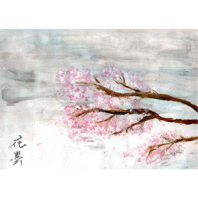 花曇のジャケット写真