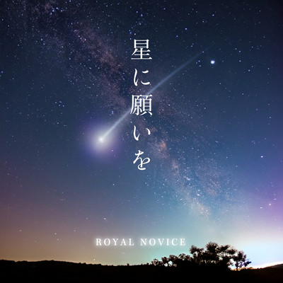 星に願いをのジャケット写真