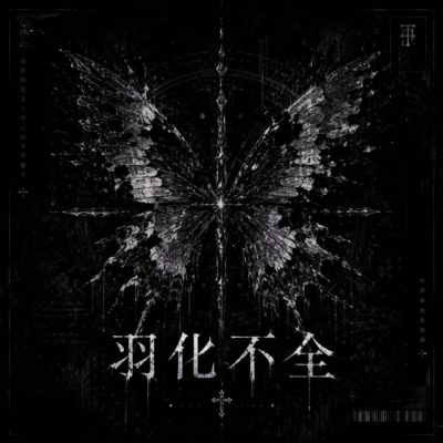 Imperfect Metamorphosis Front Cover