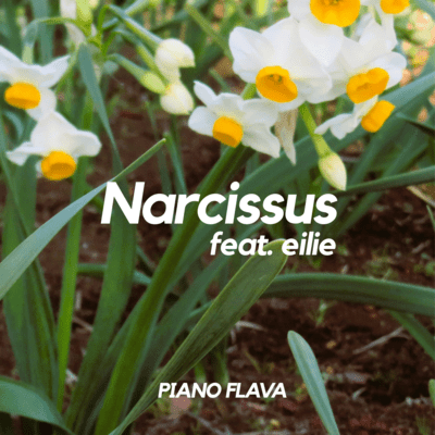 Narcissus (feat. eilie) Front Cover