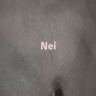 Nei Front Cover