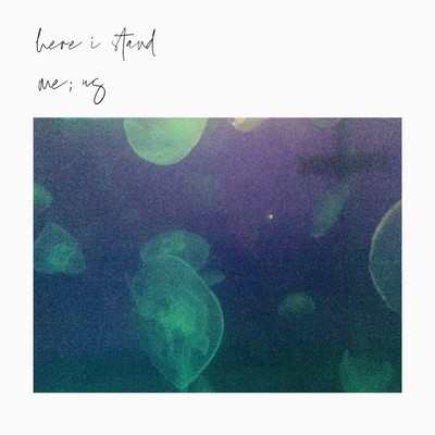 here i stand Front Cover