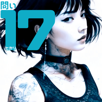 問い17のジャケット写真
