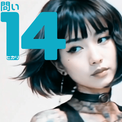 問い14のジャケット写真