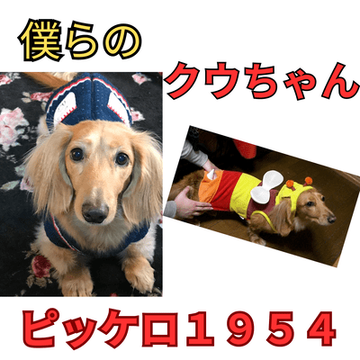Our dear Koo-chan (feat. SHION, NAOKI, AKITO & TAKU) Front Cover