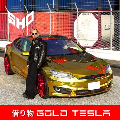 Rental Gold Tesla Front Cover