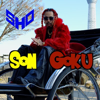 Son Goku Front Cover