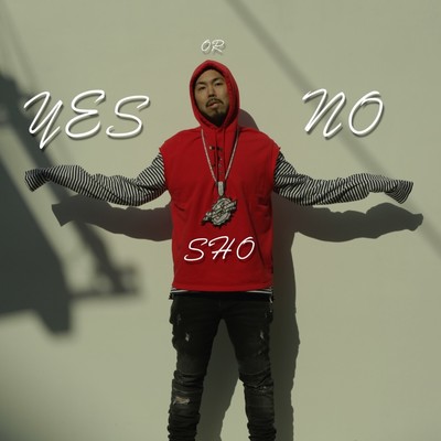 YES OR NO Front Cover