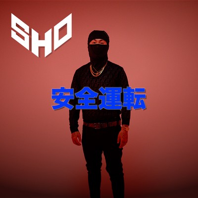 SAFE DRIVE Front Cover