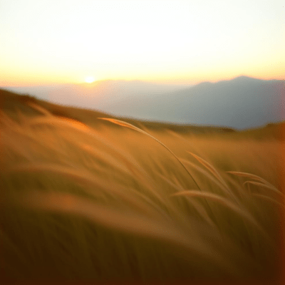 Distant Hills Front Cover