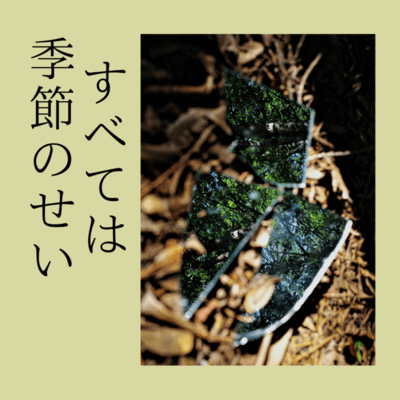 すべては季節のせいのジャケット写真