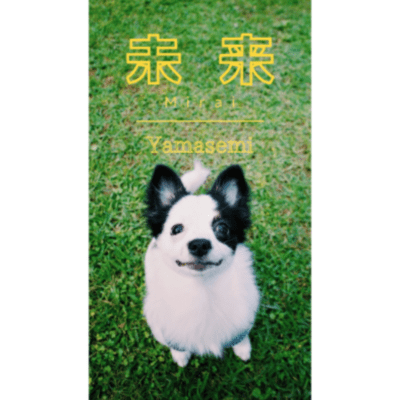 Mirai Front Cover