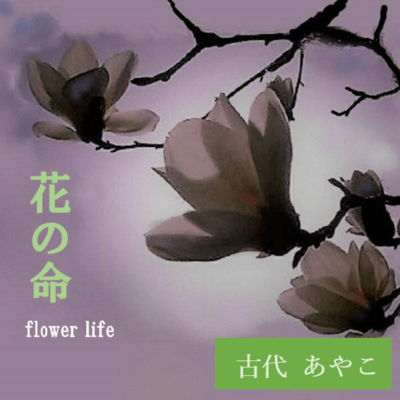 flower life Front Cover
