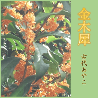 osmanthus Front Cover