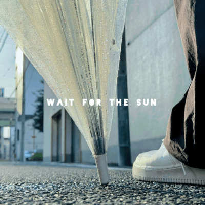 Wait for the Sunのジャケット写真