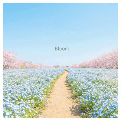 Bloom Front Cover