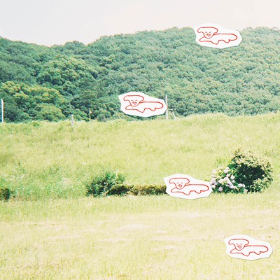 YASASHISA IN GOMENNEのジャケット写真