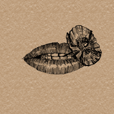 Forgetting Front Cover