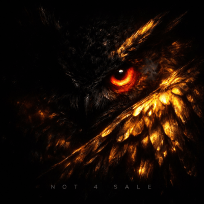 NOT 4 SALE (feat. Young Owl) Front Cover