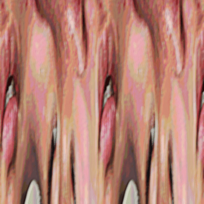 Don't ignore me Front Cover