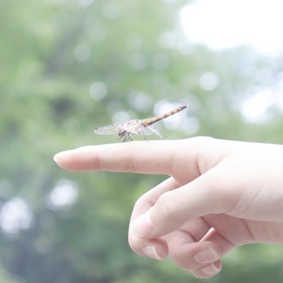 青天の霹靂 / 余夏のジャケット写真