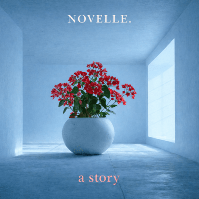 a story Front Cover