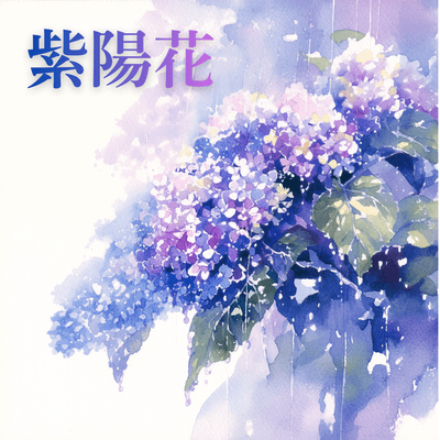 Hydrangea Front Cover