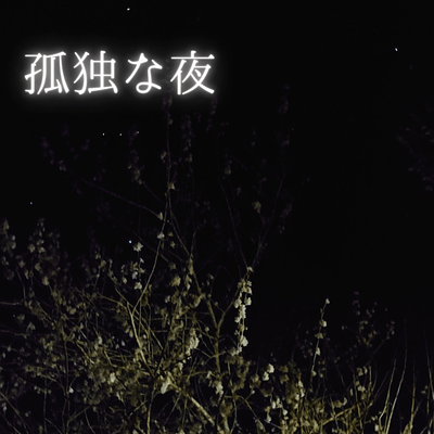 孤独な夜のジャケット写真