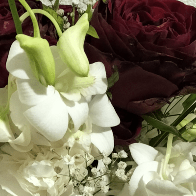 People pleaser Front Cover