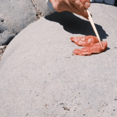 とうに捨てたのジャケット写真