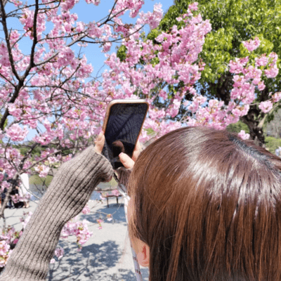 再現可のジャケット写真
