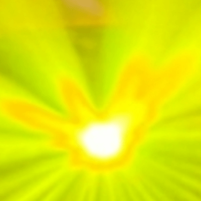 FAN Front Cover