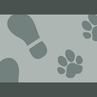 foot, foot. Front Cover