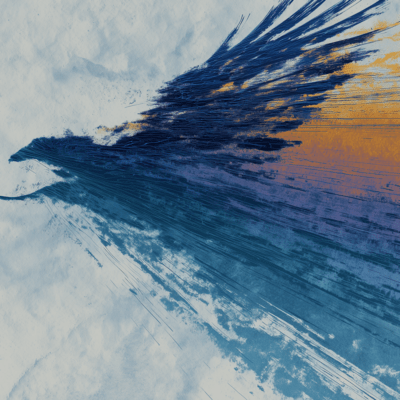 Birds Front Cover