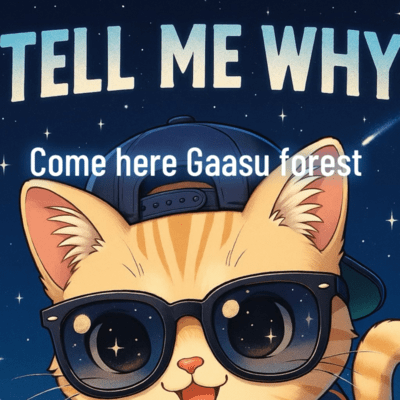 Tell me why (Radio edit) Front Cover