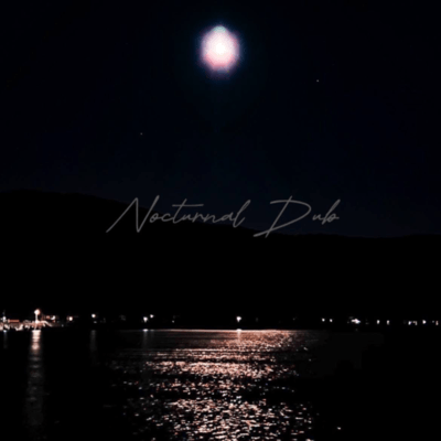 Nocturnal Dub Front Cover