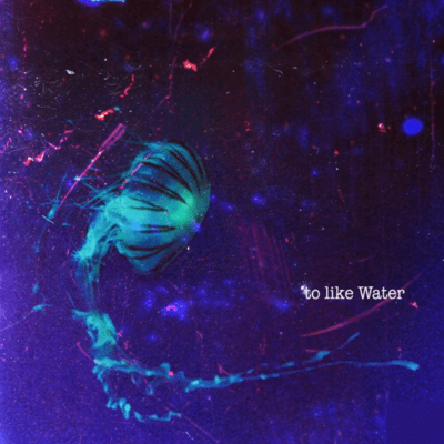 to like Waterのジャケット写真