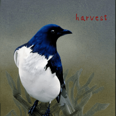 harvest Front Cover