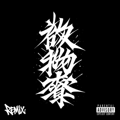 hosimonnbau (Remix) Front Cover