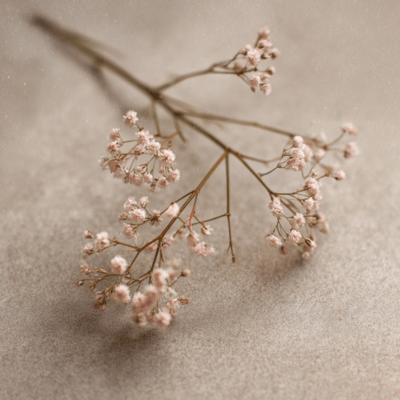 Rhythm for Focus Vol. 1- Wordless R&B for Deep Work Front Cover