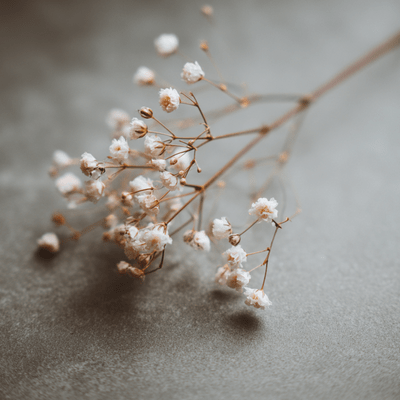 Quiet Work Time Vol.1Instrumental R&B for Deep Focus Front Cover