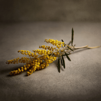 Rhythm for Focus Wordless R and B for Deep Work Front Cover